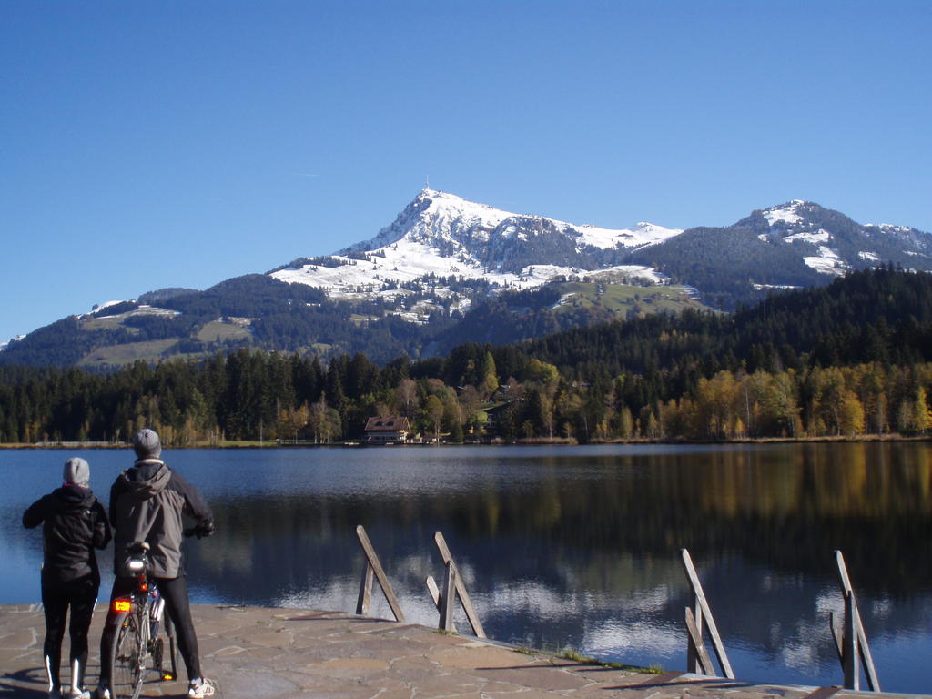 Ferienwohnungen - Haus Zierl Reith bei Kitzbuehel Bagian luar foto